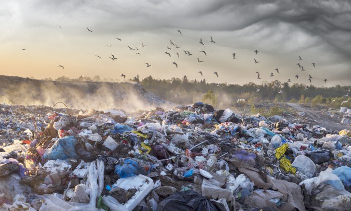 Forskning om miljö i konkurs – när förorenare inte kan betala
